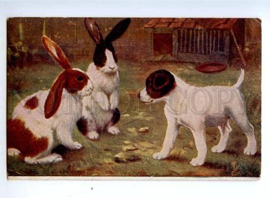 3149212 Rabbits JACK RUSSELL TERRIER Puppy by THOMAS vintage PC
