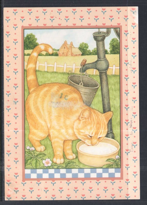 Cat Drinking Milk BIN