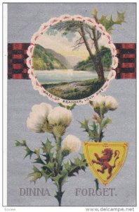 Coat Of Arms, Dinna Forget, Pass Of Brander, LOCH AWE, Scotland, UK, 1900-1...