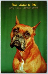 1957 Adair, IA Greetings Cute Boxer Dog Now Listen to Me Pup Chrome PC A234