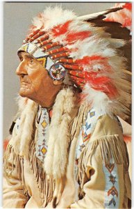 CHIEF RED FOX Buffalo Bill Show Native American Indian 1950s Vintage Postcard