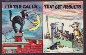 It's the Call's,Cats,Comic Postcard 