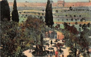 US6647 gethsemane garden israel