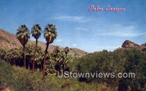 Palm Canyon - Palm Springs, California CA  
