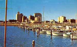 Famous T-Heads - Corpus Christi, Texas TX  