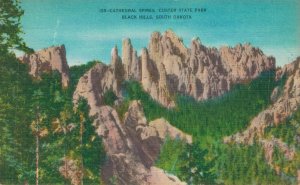 USA Cathedral Spires Custer State Park Black Hills South Dakota Postcard 07.83