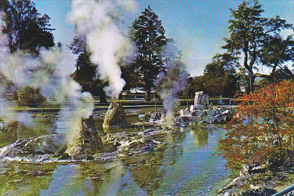 New Zealand Thermal Vents In The Government Gardens Rotorua