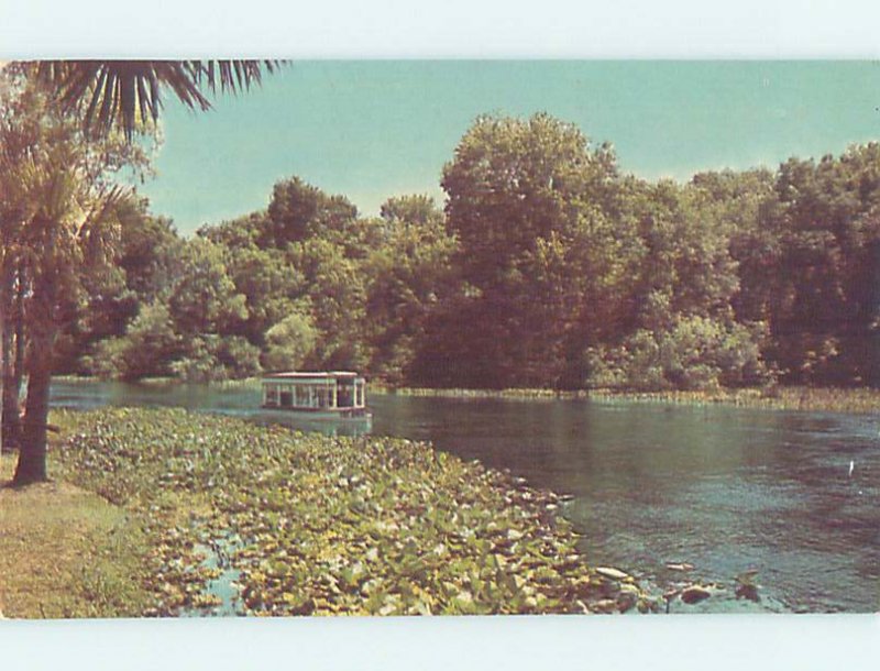 Pre-1980 SILVER SPRINGS SCENE Ocala Florida FL AF9858