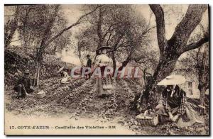 Old Postcard picking violets Cote d & # 39Azur