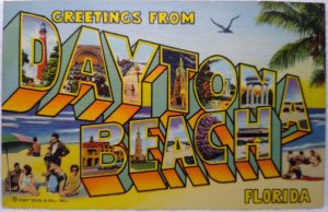 Greetings From Daytona Beach Florida Large Letter Linen Postcard Curt Teich Gull