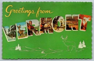 Large Letter Greetings From  Vermont  Postcard