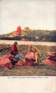 ACROSS THE LAKE FROM ISLAND PEKING CHINA POSTCARD (c. 1910)