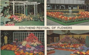 SOUTHEND FESTIVAL OF FLOWERS, Essex - Vintage POSTCARD