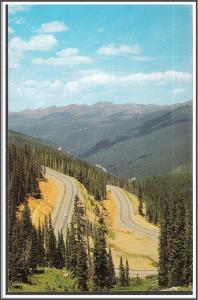 Colorado - Berthoud Pass - [CO-082]