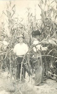 Postcard RPPC C-1910 Farm Agriculture Tall corn Men 23-5474