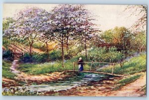 c1910's Blossom Time Tree Flowers Devon England UK Oilette Tuck Art Postcard