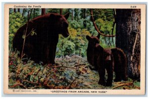 c1940's Greetings From Arcade New York Bear Scene NY Unposted Vintage Postcard