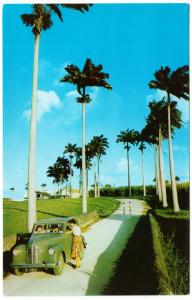 Barbados Christ Church Palm Avenue 1950s-1960s Postcard