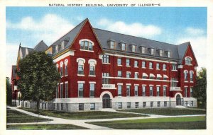 Urbana IL   NATURAL HISTORY BUILDING  University Of Illinois   c1940's Postcard