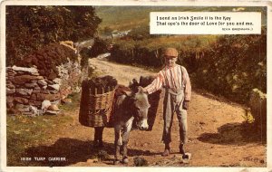 uk41541 irish truf carrier  real photo ireland donkey