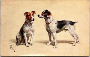 Fox Terrier, Tucks 9644 Favourite Dogs Postcard X55