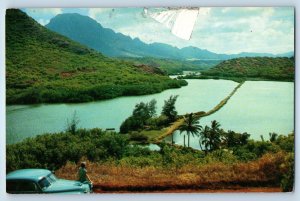 c1960 Island Kauai Hawaii HI Postcard Menehune Fishpond Semi Aerial View Car