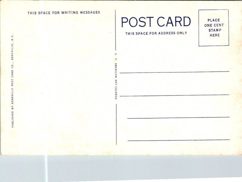 Vintage Virginia Postcard - Blue Ridge Mountains