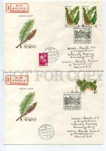 484277 USSR 1987 year set of FDC Timofeeva Flora USSR plants