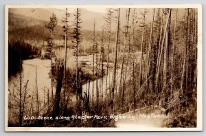 MT Scene Along Glacier Park Highway Montana RPPC Real Photo Postcard V23