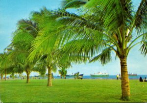 Philippines Manila Bay With Coconut Lined Roxas Boulevard