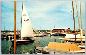 Vtg Dewey Beach Delaware DE Setting Out Under Full Sail Sailboat View Postcard