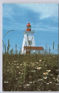 Souris Lighthouse, Prince Edward Island, Vintage Chrome Postcard