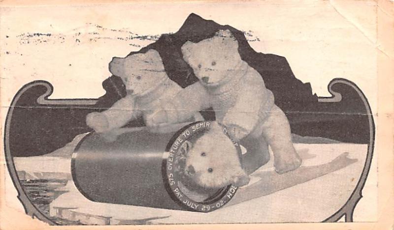 Bear Post Card Old Vintage Antique Bear Postcard 