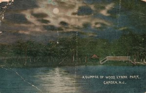 Vintage Postcard 1917 Caught Glimpse Of Wood Lynne Park Camden New Jersey NJ