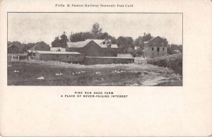 Pine Run Duck Farm Phila and Easton Railway Vintage Postcard AA35661