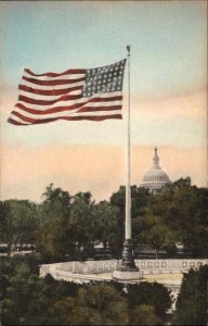 Washington D.C. American Flag Pledge of Allegiance c1910 Vintage Postcard