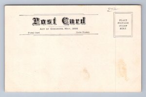 COUNTRY CLUB BLOOMINGTON ILLINOIS GOLF POSTCARD (c. 1905)