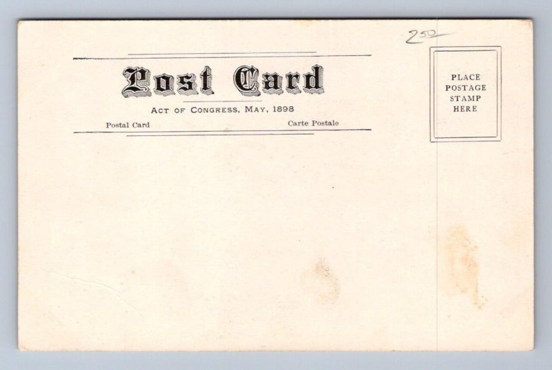 COUNTRY CLUB BLOOMINGTON ILLINOIS GOLF POSTCARD (c. 1905)