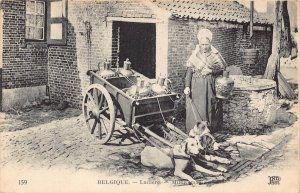 Belgium 1921 Farm Flemish Milk Maid Seller Dog Laitiere flamande postcard B915