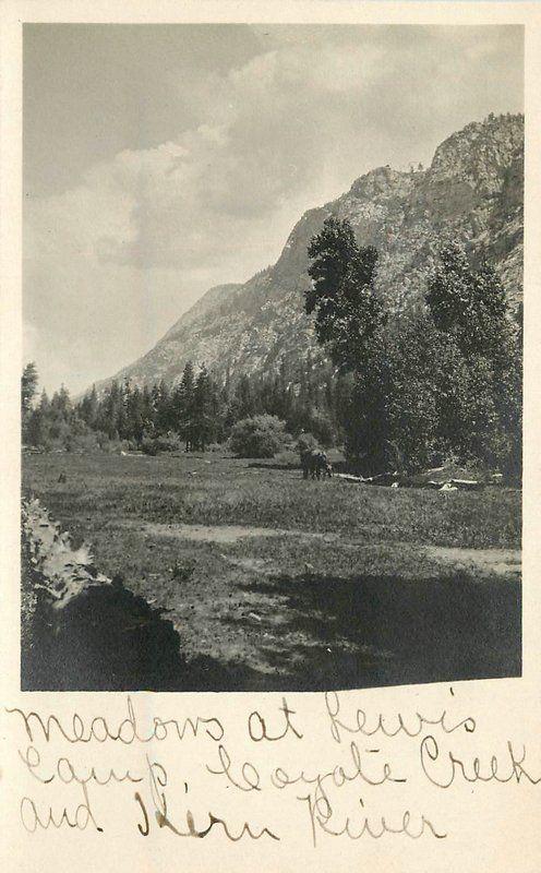 Coyote Creek Lewis Camp Meadows C-1915 KERN COUNTY CALIFORNIA RPPC 5421