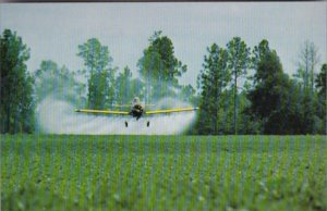 Crop Dusting A Peanut Farm In Georgia