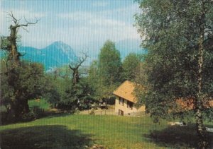 Switzerland Lago di Lugano Grotto Alpe Brusino