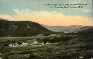Gorham New Hampshire NH Andorscoggin Valley c1910 Vintage Postcard