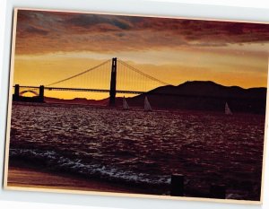 Postcard Sailboats Returning Home at Sunset on San Francisco Bay California USA