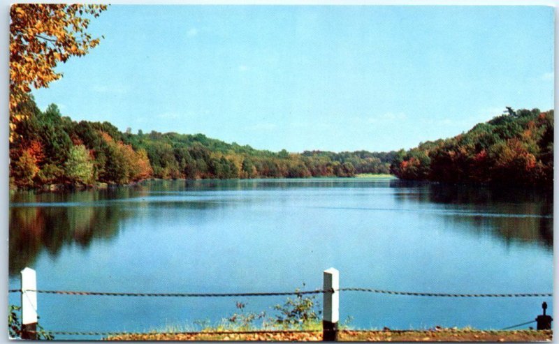 Postcard - Forest Park Brook - Springfield, Massachusetts 