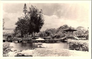 RPPC Scenic View of Liliʻuokalani Gardens in Hilo Hawaii Vintage Postcard