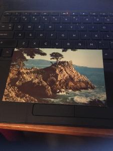 Vtg Postcard: Lone Cypress on Pebble Beach California