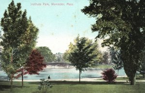 Historic Institute Park Worcester Massachusetts MA Nature Vintage Postcard c1910