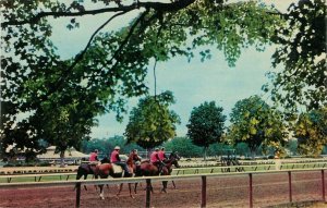 c1950s Saratoga Race Track Saratoga Springs, NY Morning Workout Vintage Postcard