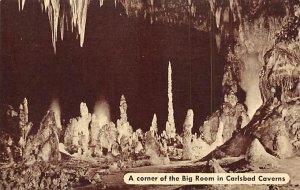 Corner of the Big Room Carlsbad Caverns, New Mexico NM s 